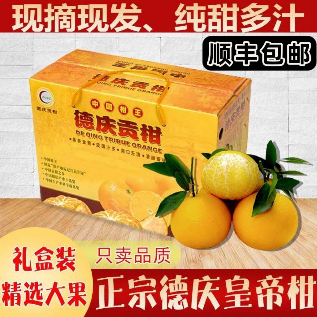 正宗德庆皇帝柑贡柑橘新鲜大果10斤现摘果园直发礼盒广东