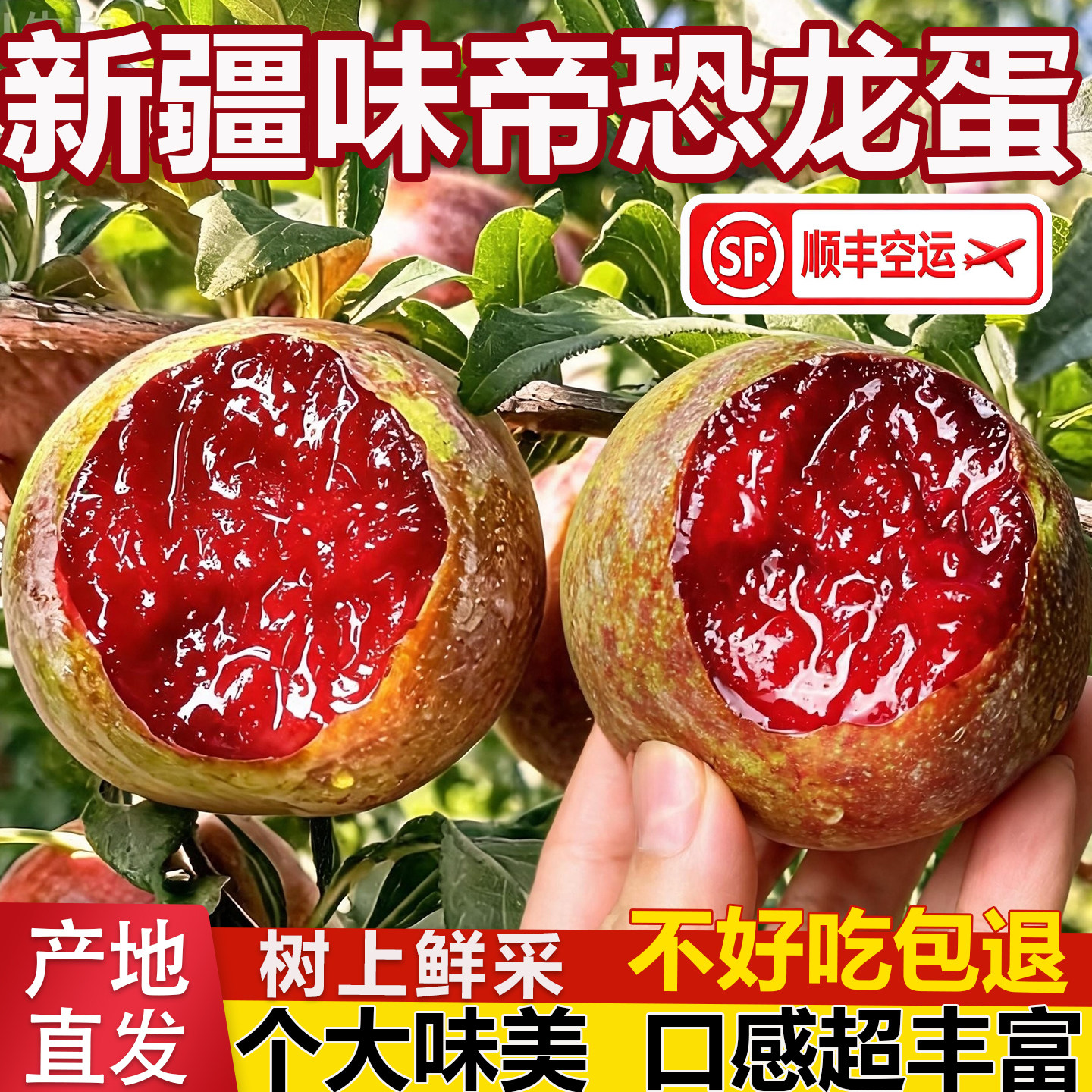 新疆恐龙蛋李味帝红心杏