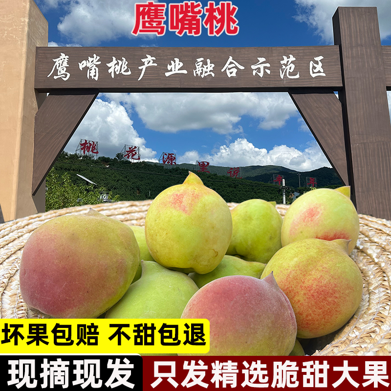 江西赣南正宗鹰嘴桃大果脆桃寻乌桃子新鲜水果现摘脆甜桃子应季