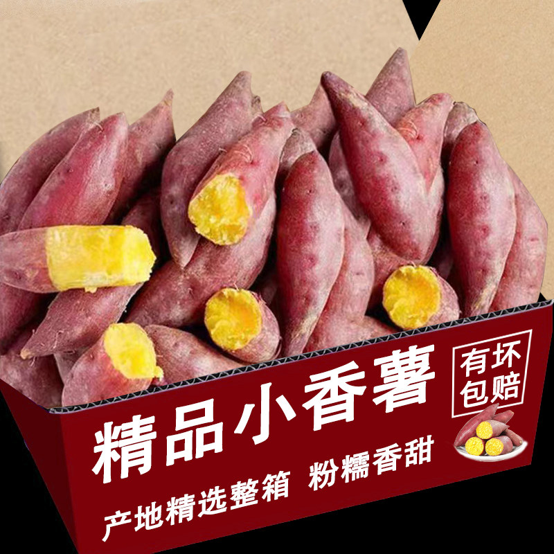 新鲜小香薯5斤板栗味小红