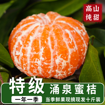 正宗临海涌泉蜜桔新鲜橘子薄皮当季水果蜜橘10斤整箱浙江黄岩桔子