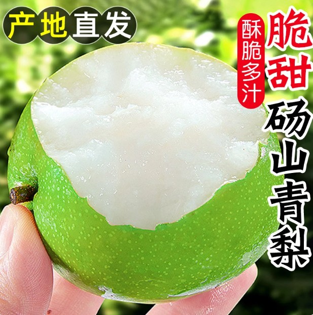 【今年新梨】砀山青梨当季新鲜孕妇水果苹果梨脆甜多汁带箱5斤