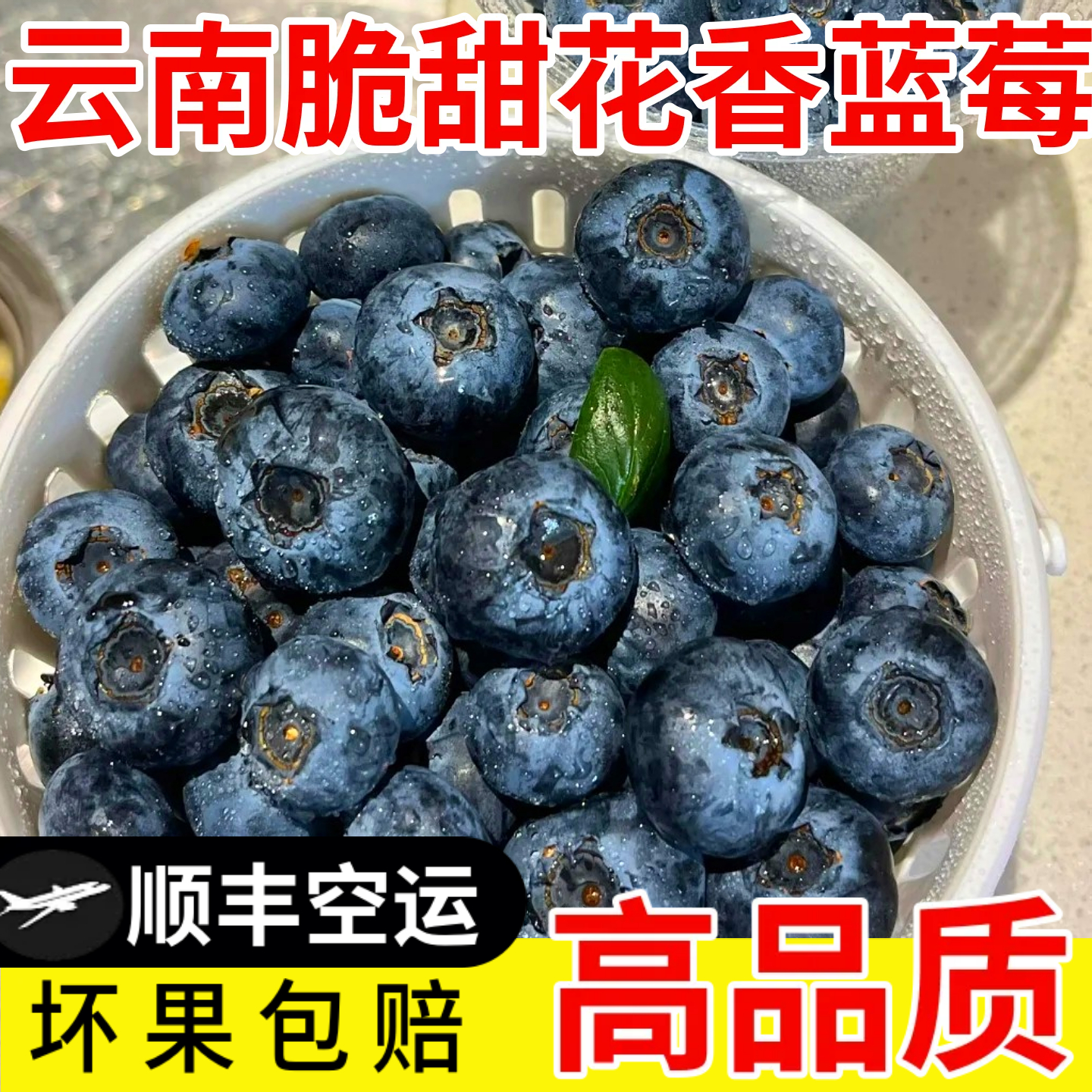 正宗花香蓝莓云南抚仙湖蓝莓鲜果脆纯甜新鲜水果当季孕妇礼盒桶装