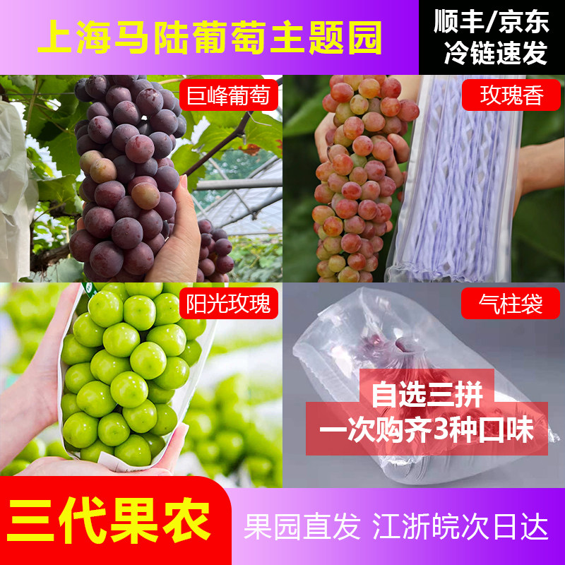 现采上海马陆葡萄巨峰/玫