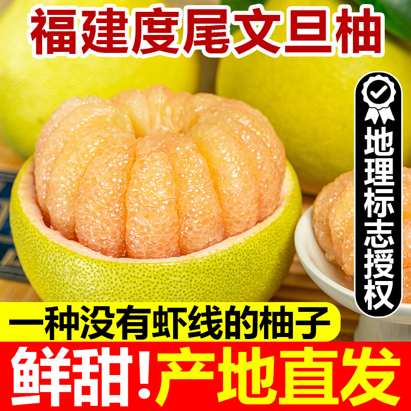 福建仙游度尾文旦柚子官