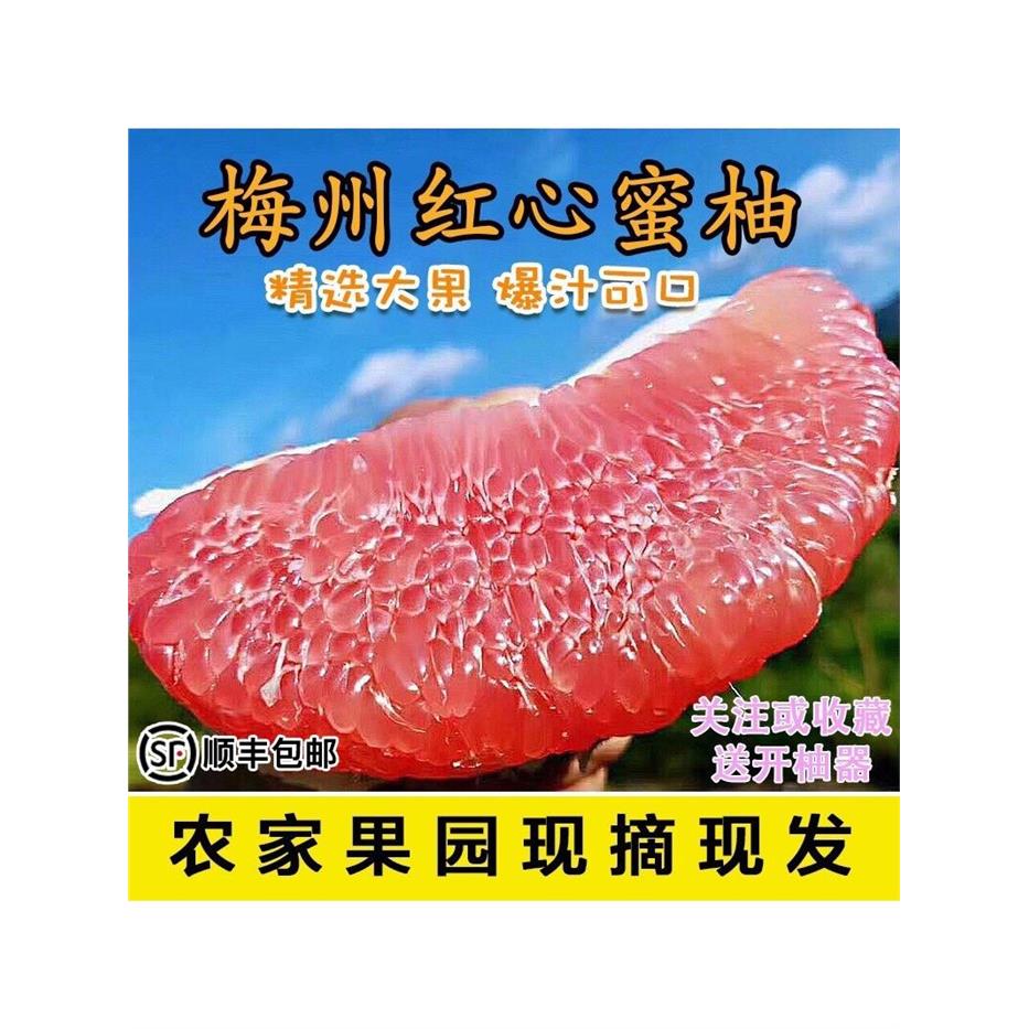 正宗梅州红心柚子顺丰包