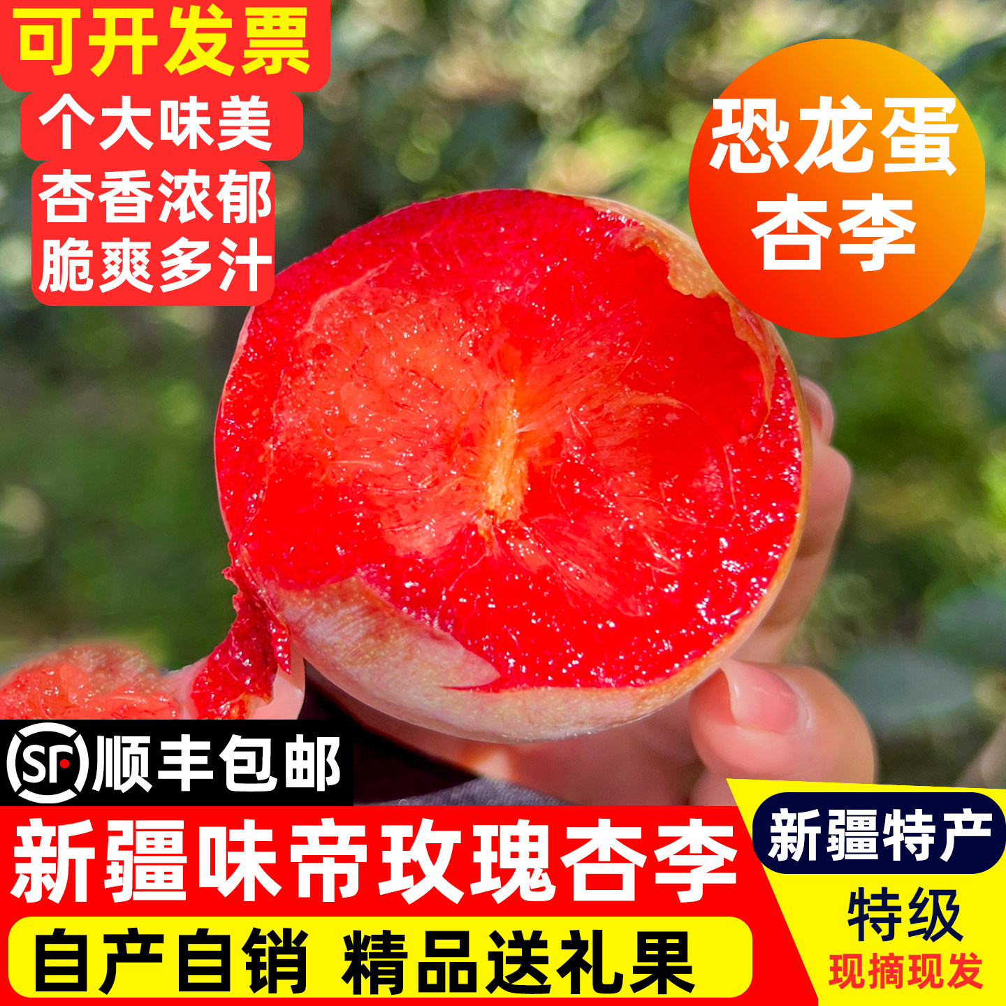 新疆味帝恐龙蛋脆甜李子