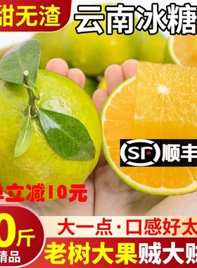 正宗麻阳冰糖橙10斤橙子湖南冰糖柑小甜橙当季手剥橙新鲜水果整箱
