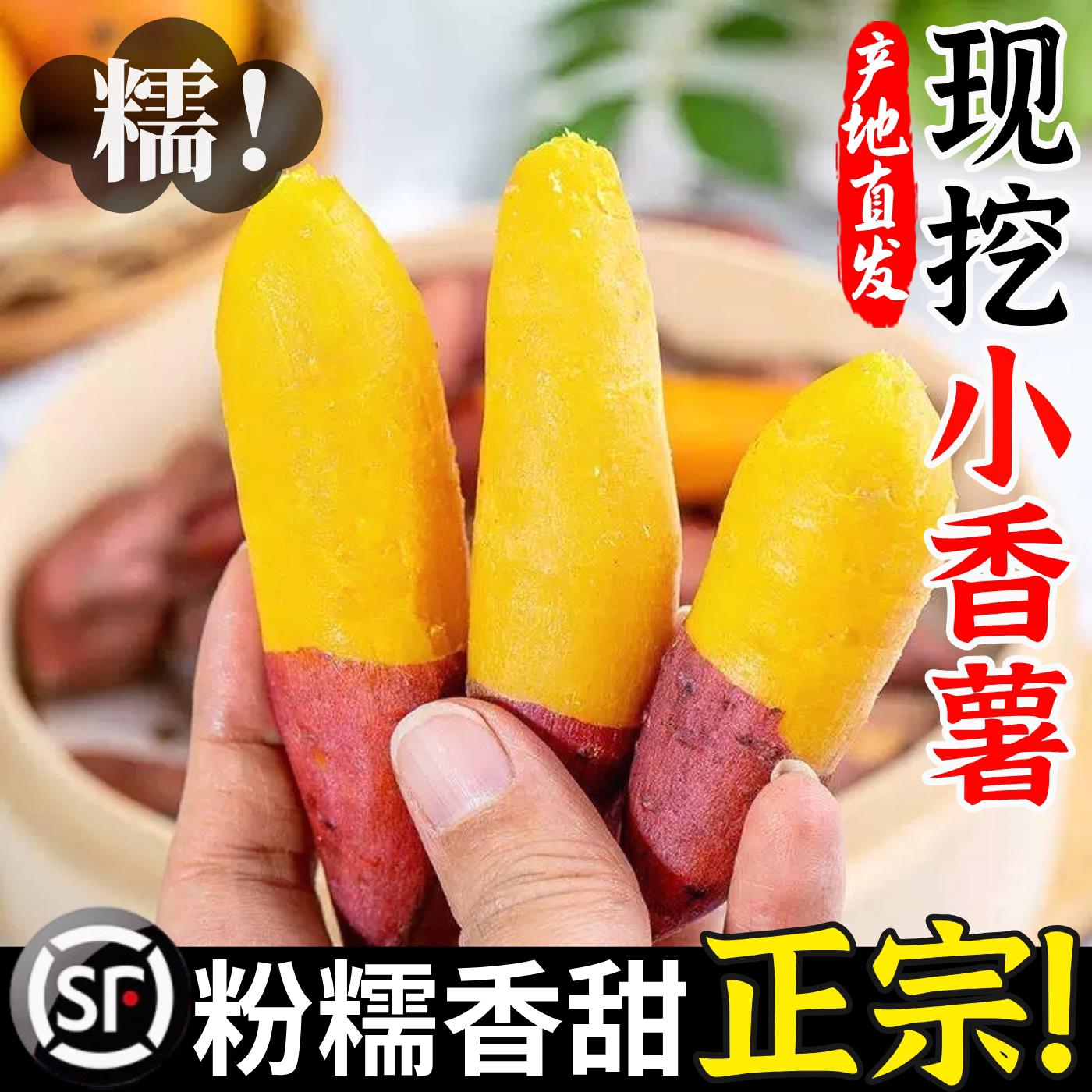 天目山小香薯临安正宗农