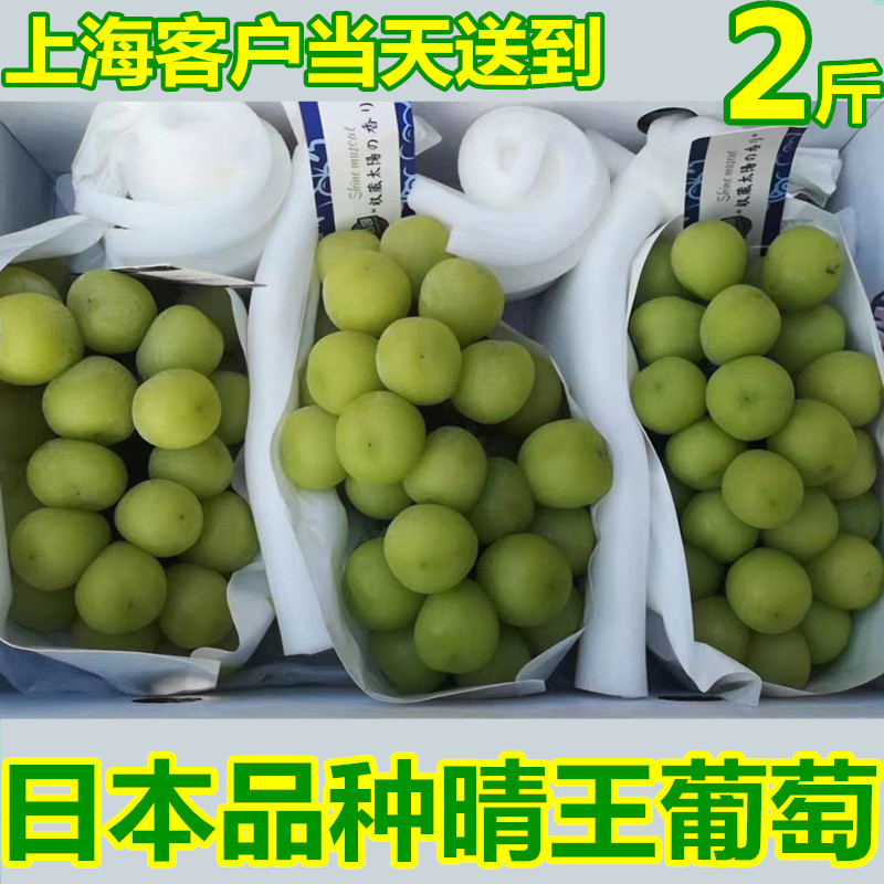 阳光玫瑰晴王葡萄当季新