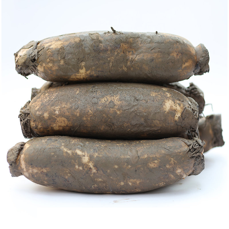 湖北洪湖藕莲藕煲汤藕武汉藕汤新鲜现挖现发糯米藕面藕炖汤九孔藕