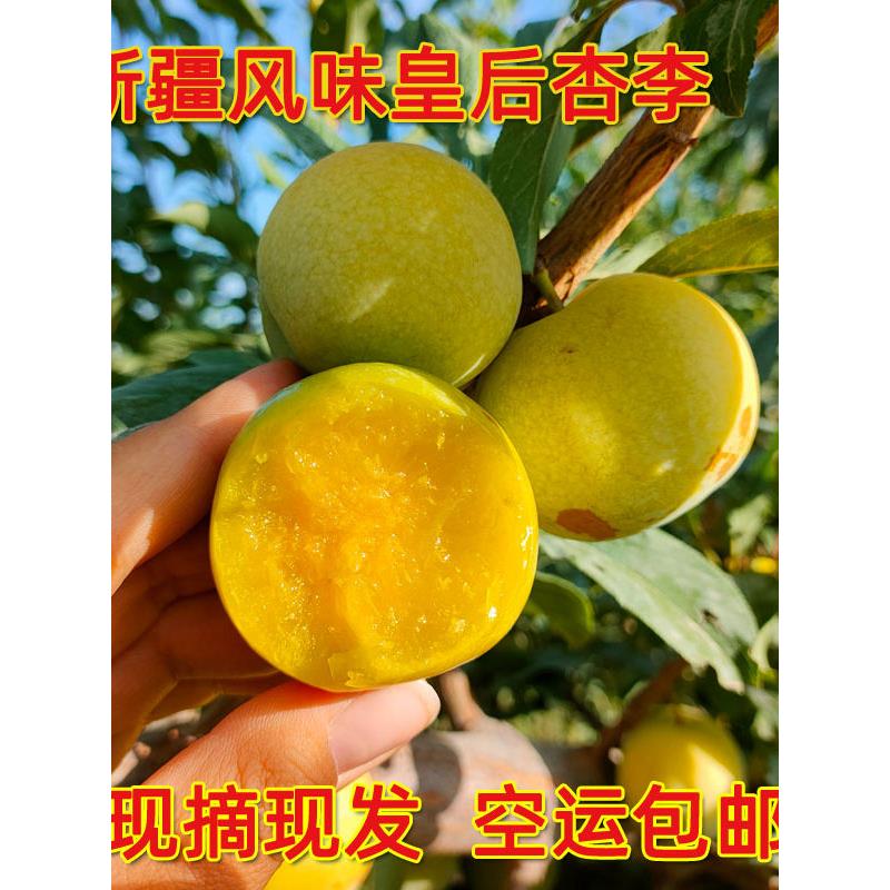 新疆恐龙蛋风味皇后李子