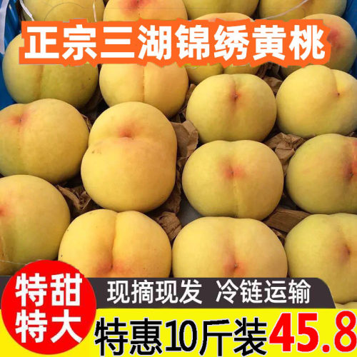 三湖黄桃湖北当季应季新鲜现发