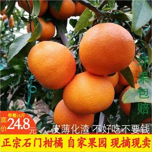 石门橘子无核蜜橘早熟蜜桔子临海涌泉果冻橙子新鲜柑橘10斤包邮5