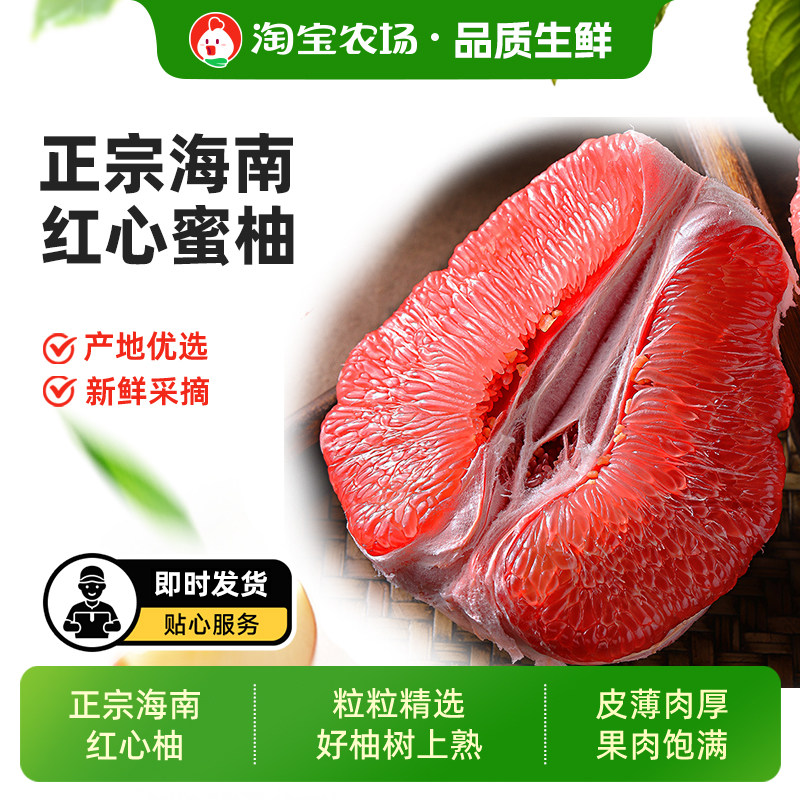 海南红心柚子红肉蜜柚新