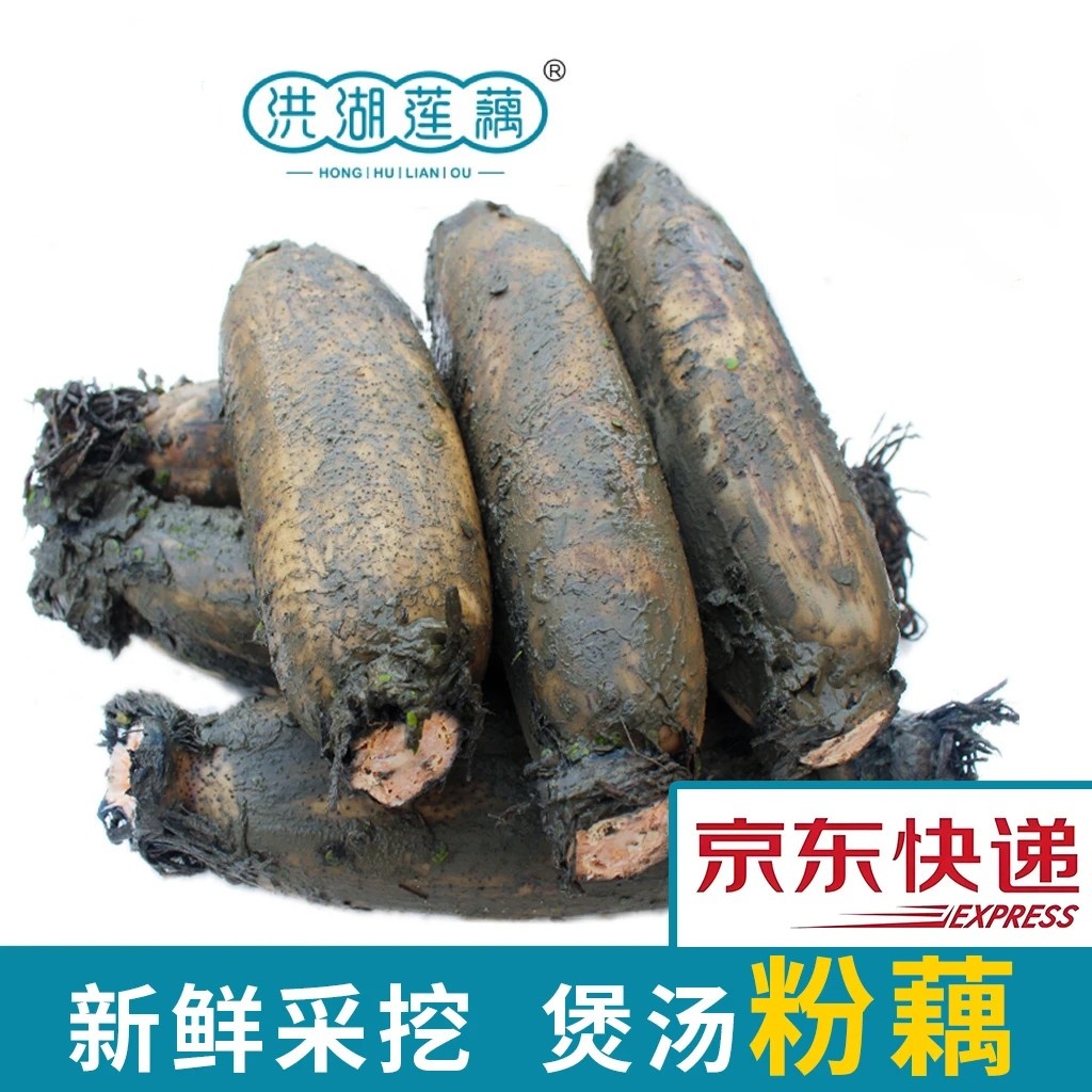 [洪湖粉藕]洪湖正宗莲藕煲汤粉藕三斤/五斤带泥发货湖北特产