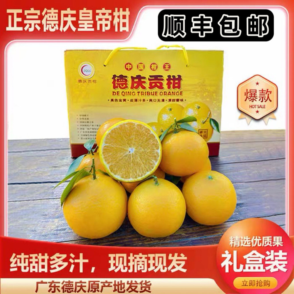 正宗德庆皇帝柑贡柑橘新鲜大果10斤现摘果园直发礼盒广东