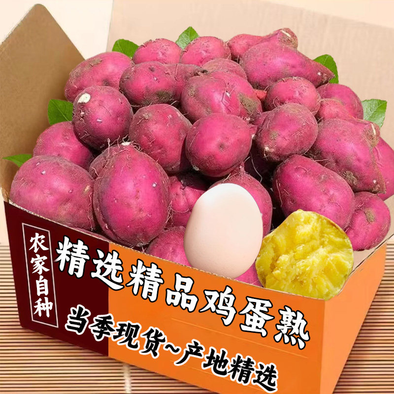 2026鸡蛋小香薯临安天目