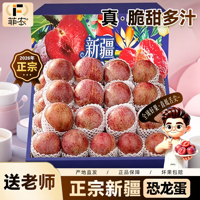 【送老师】顺丰新疆恐龙