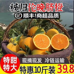 湖北秭归伦晚脐橙10斤新鲜橙子水果当季整箱果冻甜橙顺丰发货手剥