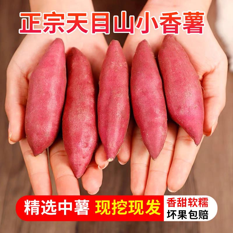 正宗临安天目山小香薯拇
