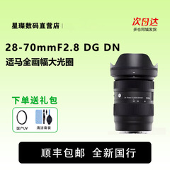 Sigma适马28-70mm F2.8 DG DN 全画幅E卡口微单镜头 适马2870F2.8