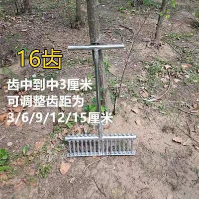 栽葱神器工具叉子栽苗器