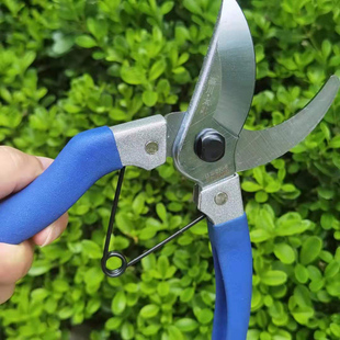日本森川太郎SK-5修枝剪 园林剪刀工具修枝剪园艺剪果树剪手枝剪