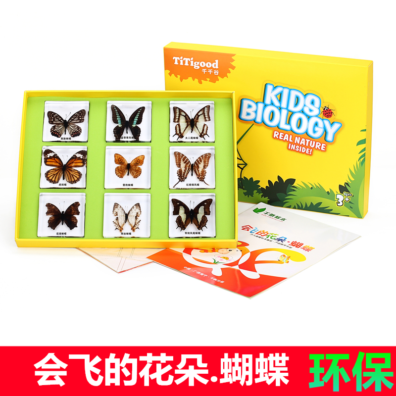 教学真实树脂模型水晶昆虫标本