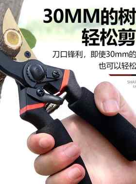 德国原装进口sk5修枝剪果树剪粗枝剪大功率充电剪刀无线 线锂电剪