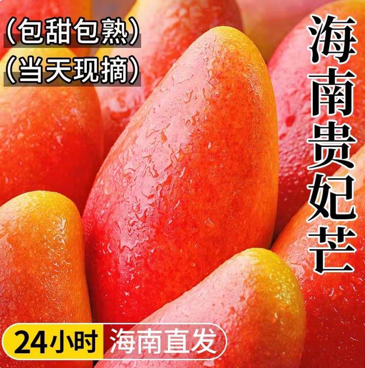 9斤海南贵妃芒果需催熟芒果包邮新鲜水果红金龙芒薄核肉厚贵妃芒