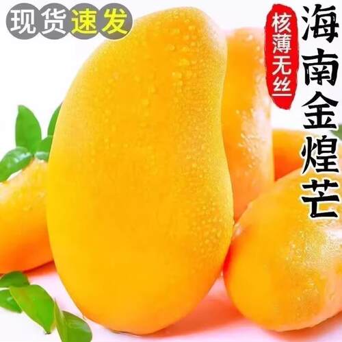 海南金煌芒应季水果香甜软糯多汁树上熟地直发新鲜水果芒果包邮
