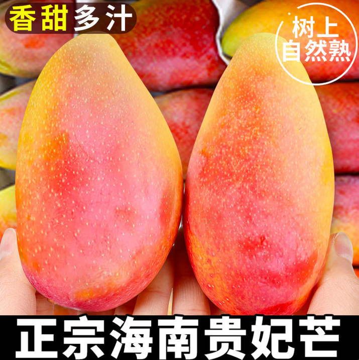 贵妃芒新鲜水果需催熟广西芒果发货当季薄核厚肉香甜红金龙