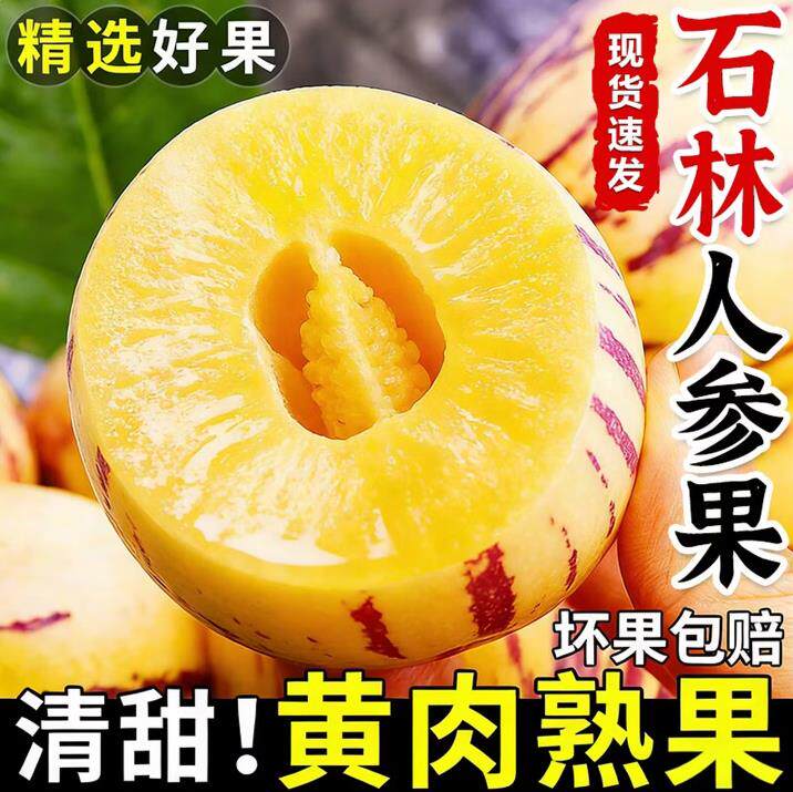 【5斤】圆果云南石林人参果黄心超甜大果低升糖黄肉水果新鲜应季