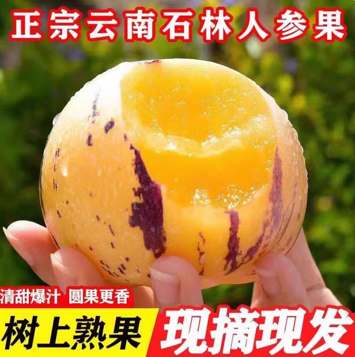 【5斤】圆果云南石林人参果黄心超甜大果低升糖黄肉水果新鲜现摘
