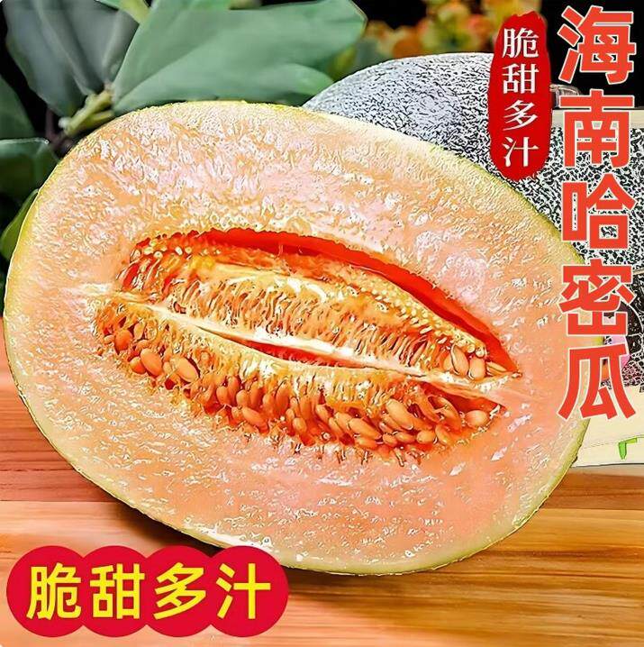 海南哈密瓜西州蜜脆甜包邮