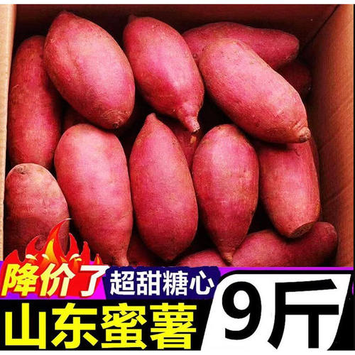 西瓜红蜜薯5斤应当季农家自种地瓜糖心板栗番薯新鲜蔬菜整箱辅食