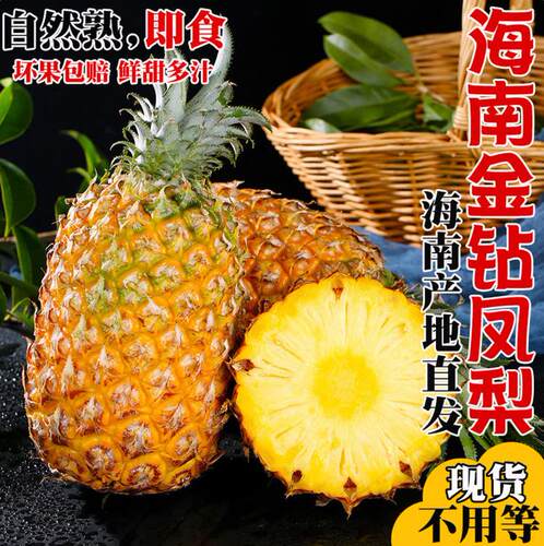 海南金钻凤梨香甜多汁当季新鲜现摘热带水果手撕凤梨不涩嘴特产