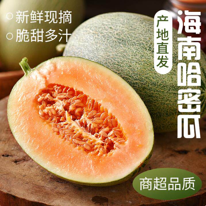 山东哈密瓜西州蜜甜瓜脆甜多汁新鲜水果薄皮肉厚整件包邮生鲜蜜瓜