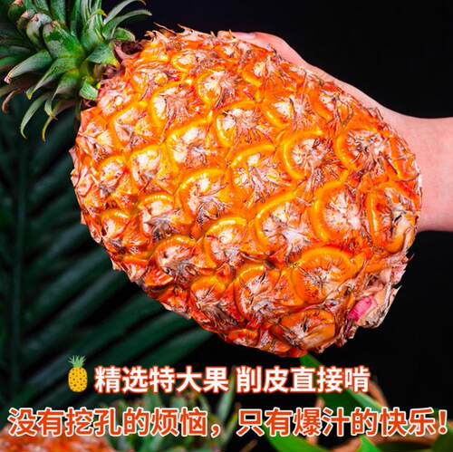 海南手撕金钻凤梨不涩嘴应当季新鲜现摘包邮凤梨香甜多汁应季水果