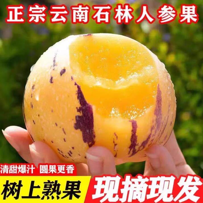 5斤云南人参果黄肉圆果黄心果石林水果新鲜时令水果圆果清甜3/9斤