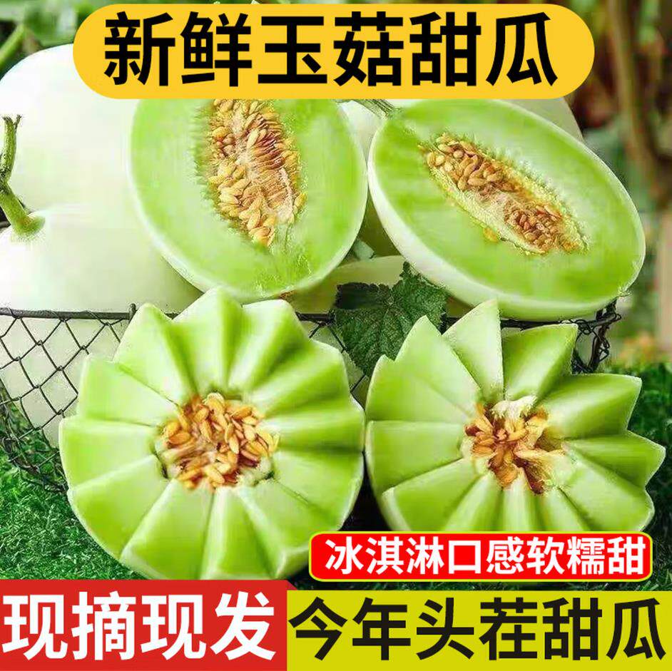 山东玉菇甜瓜冰淇淋玉菇软糯香甜蜜瓜新鲜水果甜瓜密香瓜玉菇甜瓜