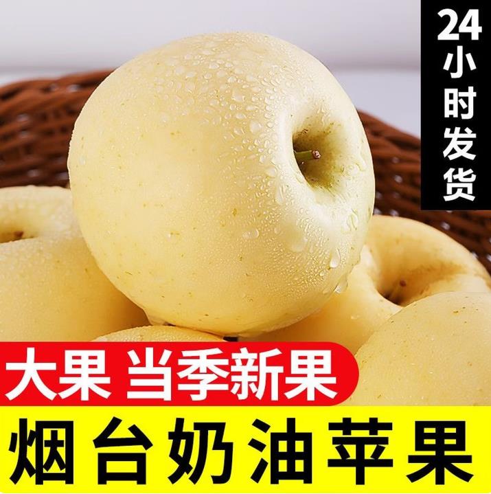 山东奶油富士脆甜多汁苹果整件包邮新鲜水果苹果奶油富士