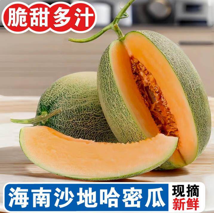 山东哈密瓜西州蜜甜瓜脆甜多汁新鲜水果薄皮肉厚整件包邮生鲜蜜瓜