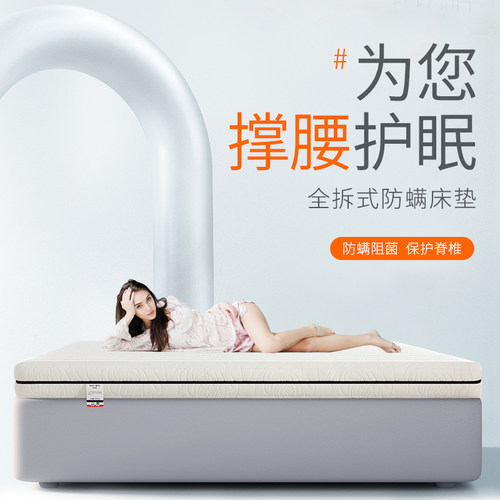 纳安床垫精细黄麻儿童硬棕榈席梦思乳胶防螨白领软硬榻榻米可定制 - 封面