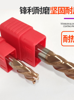 55度钨钢合金圆鼻铣刀 牛鼻刀d4r0.5 10r112r2 16r3加长立铣刀150