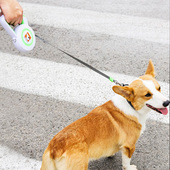 狗狗牵引绳自动伸缩中小型犬泰迪博美比熊遛狗绳链子项圈宠物用品