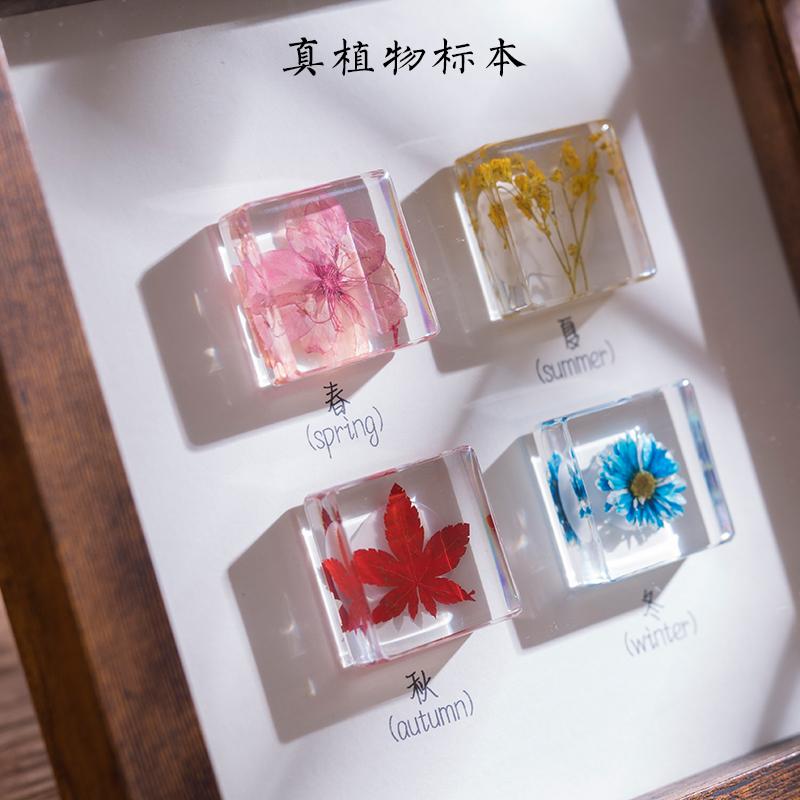 装饰画立体干花创意礼物亚克力滴胶植物标本真花相框水晶摆件饰品图片