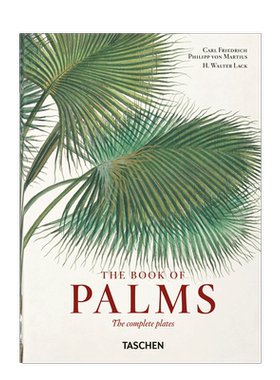 【现货】TASCHEN Martius. The Book of Palms.45周年纪念版马修斯:棕榈书热带植物绘画手稿艺术画集画册进口原版图书45th