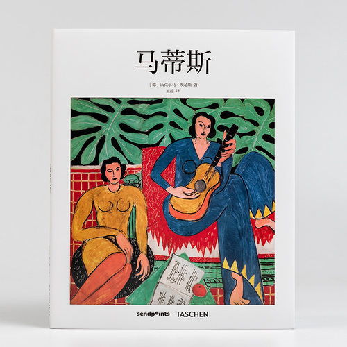 现货马蒂斯[基础艺术]简体中文